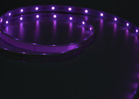 lampade fluorescenti di 2700K 72Leds/M Decoration Remote Control LED