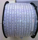 Luce principale flessibile della corda della striscia Smd5050 AC240V della luce di CA LED del rotolo di Ip65 50m/