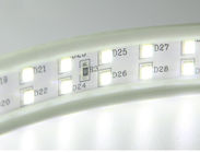 nastro della striscia 220V 240V 110V 230V 6W/M Waterproof LED della luce di CA LED di 1500lm SMD5050